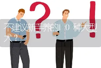 不建议新手养的10种大型犬？