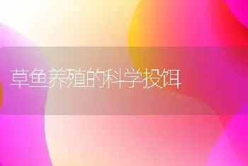 草鱼养殖的科学投饵