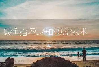 鳗鱼指环虫病的防治技术