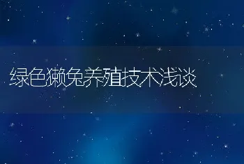 绿色獭兔养殖技术浅谈