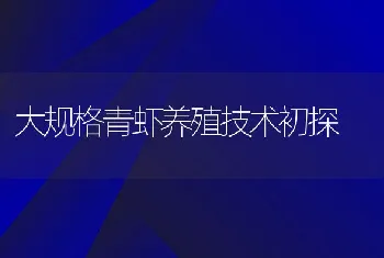 大规格青虾养殖技术初探