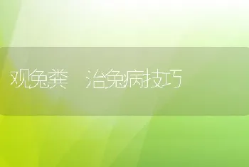 观兔粪 治兔病技巧