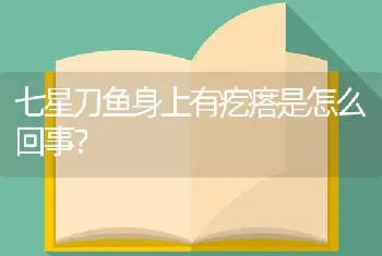 七星刀鱼身上有疙瘩是怎么回事？