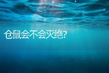 仓鼠会不会灭绝？