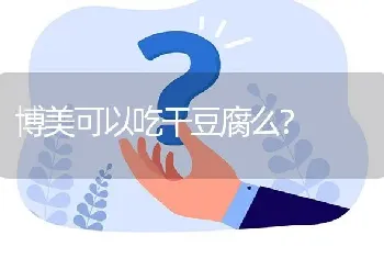 博美可以吃干豆腐么？