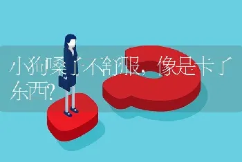 小狗嗓子不舒服，像是卡了东西？