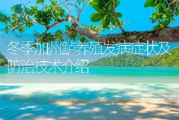 冬季加州鲈养殖发病症状及防治技术介绍