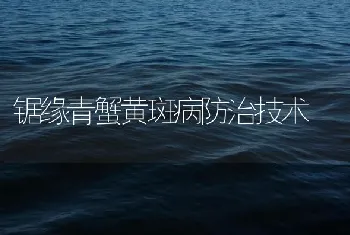 锯缘青蟹黄斑病防治技术