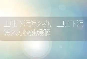 上吐下泻怎么办，上吐下泻怎么办快速缓解