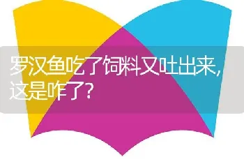 罗汉鱼吃了饲料又吐出来，这是咋了？