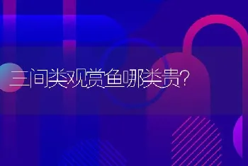 三间类观赏鱼哪类贵？