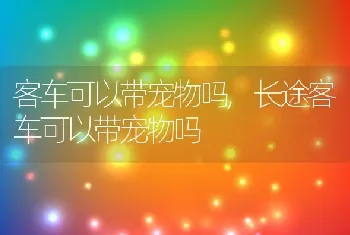 客车可以带宠物吗，长途客车可以带宠物吗