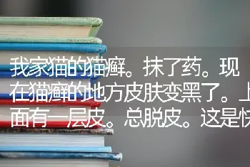 我家猫的猫癣。抹了药。现在猫癣的地方皮肤变黑了。上面有一层皮。总脱皮。这是快要好了吗？