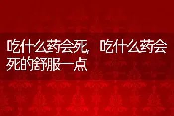 吃什么药会死，吃什么药会死的舒服一点