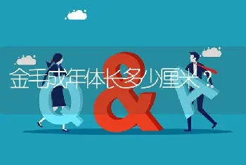 以色列沙皮狗多少钱一只？寿命多久？