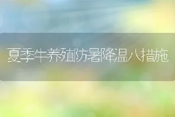 夏季牛养殖防暑降温八措施