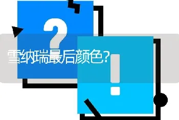 可怜的小狗被车压了，腹部腿部肿胀，求教好心人？