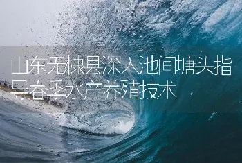 山东无棣县深入池间塘头指导春季水产养殖技术