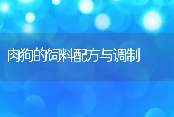 肉狗的饲料配方与调制