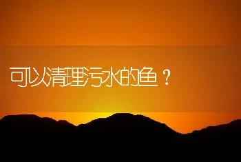 可以清理污水的鱼？