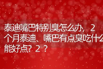 泰迪嘴巴特别臭怎么办？