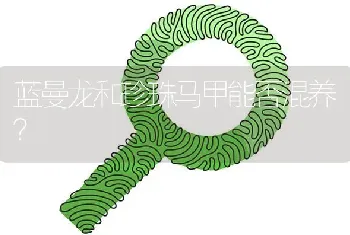 蓝曼龙和珍珠马甲能否混养？