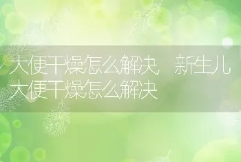 大便干燥怎么解决，新生儿大便干燥怎么解决