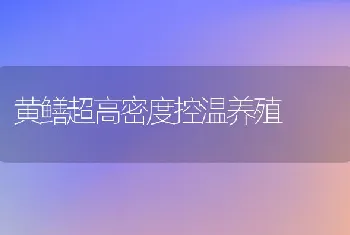 黄鳝超高密度控温养殖