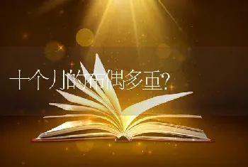 十个月的布偶多重？