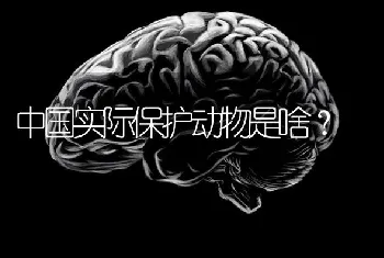 我不想金毛犬吃狗粮!吃什么饭好呢？