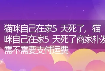 猫咪自己在家5天死了，猫咪自己在家5天死了商家补发需不需要支付运费