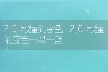 20秒瞳孔变色，20秒瞳孔变色一黑一蓝