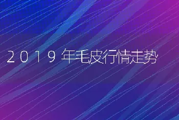 2019年毛皮行情走势