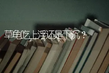 草龟吃上浮还是下沉？