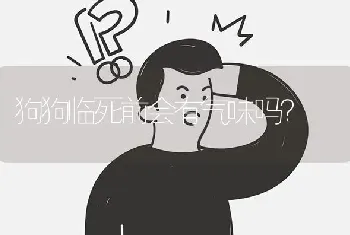 狗狗临死前会有气味吗？