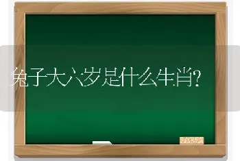 黑凯鹦鹉介绍？