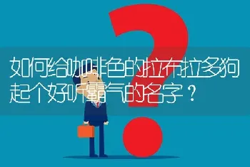 如何给咖啡色的拉布拉多狗起个好听霸气的名字？