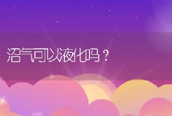 沼气可以液化吗？