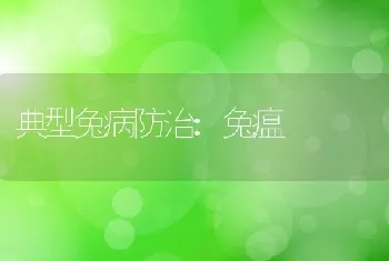 典型兔病防治:兔瘟