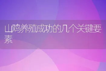 山鸡养殖成功的几个关键要素