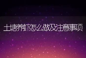 土塘养虾怎么做及注意事项