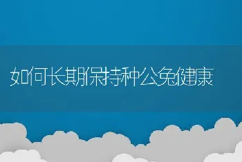 南美白对虾养殖疾病防治思路浅析