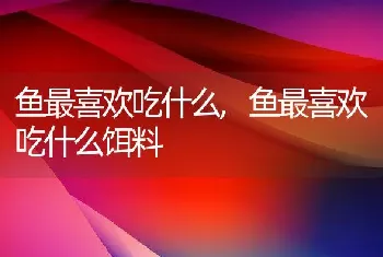 鱼最喜欢吃什么，鱼最喜欢吃什么饵料