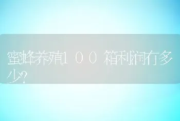 蜜蜂养殖100箱利润有多少？