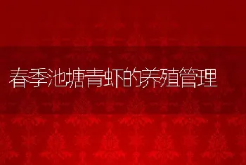 春季池塘青虾的养殖管理