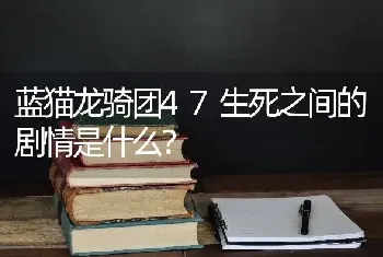 狗狗为什么喜欢舔和轻咬主人的手？