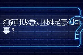 狗狗呼吸急促困难是怎么回事？