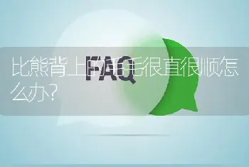 比熊背上的毛毛很直很顺怎么办？