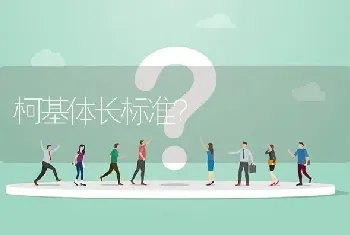 柯基体长标准？