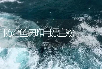 防治鱼病咋用漂白粉